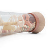 Pastel Rain Maker Sensory Toy