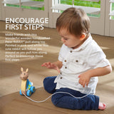 Peter Rabbit Wooden Pull Along