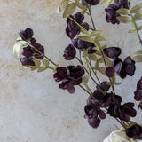 Botanical Quince Blossom - Plum