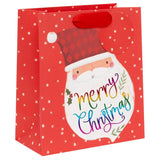 Medium Rainbow Santa Gift Bag