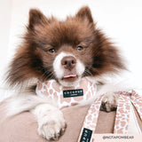 Coco Pup London Dog Lead