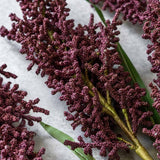 Botanical Wetland Heirloom