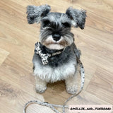 Coco Pup London Dog Lead