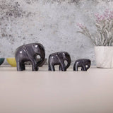 Brushed Black Elephant