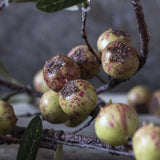 Botanical Hand-Painted Dappled Rosehip Stem