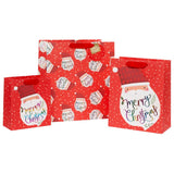 Large Rainbow Santa Gift Bag
