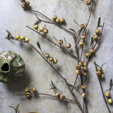 Botanical Hand-Painted Dappled Rosehip Stem