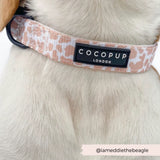 Coco Pup London Dog Collar
