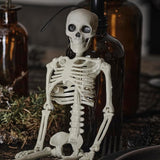 Hanging Skeleton Halloween Decoration