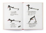 Yoga For Stiff Birds Book