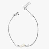 Oyster Freshwater Pearl Bracelet - Silver