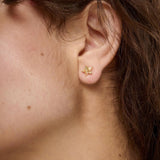 Cosma Textured Star Stud Earrings