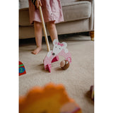 Wooden Animals Croquet Set