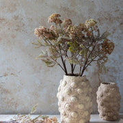 Botanical Hemlock