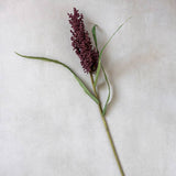 Botanical Wetland Heirloom
