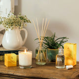 Arran Cedarwood & Citrus 100ml Room Spray — lifestyle