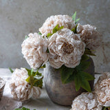 Botanical Peony Evening Dew
