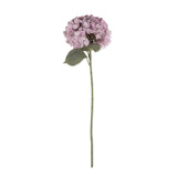 Botanical Hydrangea - Lilac