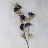 Botanical Quince Blossom - Plum