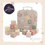 Wooden Number Block Set