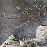 Botanical Hand-Painted Dappled Rosehip Stem