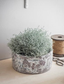 Withington Ceramic Bowl