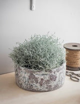 Withington Ceramic Bowl