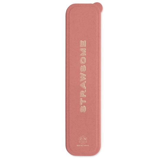 Strawsome Eco Straw Set
