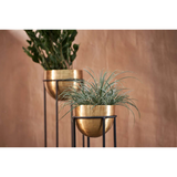 Atsu Brass Standing Planter