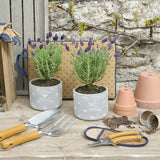 Sophie Allport Bees Garden Tool Set